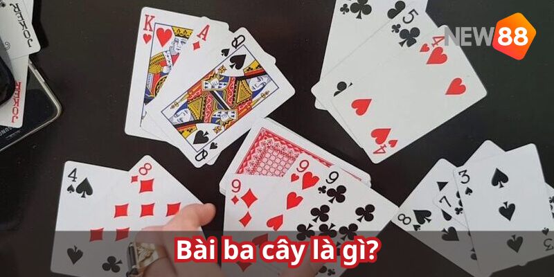Tổng quan về bài điểm cho bet thủ