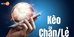 Kèo chẵn lẽ