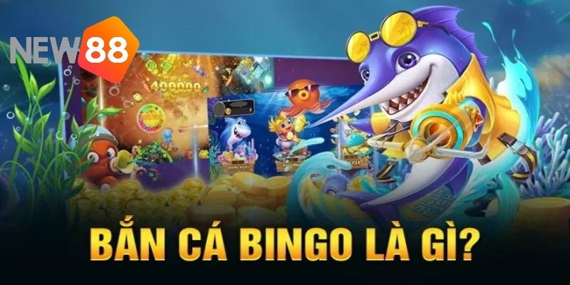 Khám phá về bắn cá Bingo NEW88