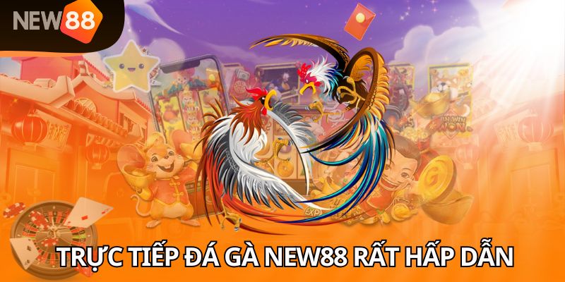 Xem trực tiếp đá gà NEW88 rất hấp dẫn