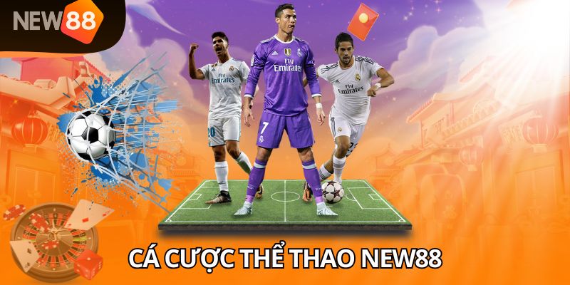 Trải nghiệm dịch vụ cá cược thể thao NEW88 siêu cuốn